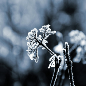 Voici le message secret des astres ce mercredi 31 décembre 2025