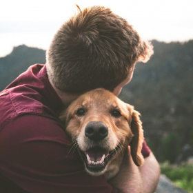 L'art de flairer les imposteurs : comment les chiens détectent les personnes toxiques