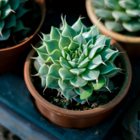 Horoscope du jeudi 9 avril 2026 : ces erreurs que les signes astrologiques risquent de faire aujourd’hui (et comment les éviter)