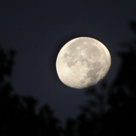 Pleine Lune du 5 novembre 2025 : ces 3 signes astrologiques qui vont enfin lâcher prise et se libérer d’une dépendance émotionnelle