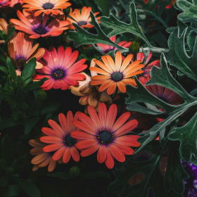 Horoscope lundi 10 novembre 2025 pour chaque signe astrologique : voici ce que les astres vous réservent aujourd’hui