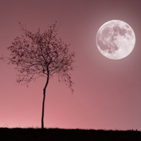 “Elle ne sera pas rose…” : la vérité derrière la pleine lune de cette nuit intrigue des millions de curieux