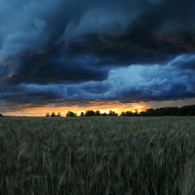 Orages : voici les 42 départements placés en vigilance jaune ce lundi 20 octobre 2025