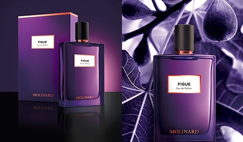 parfum figue molinard